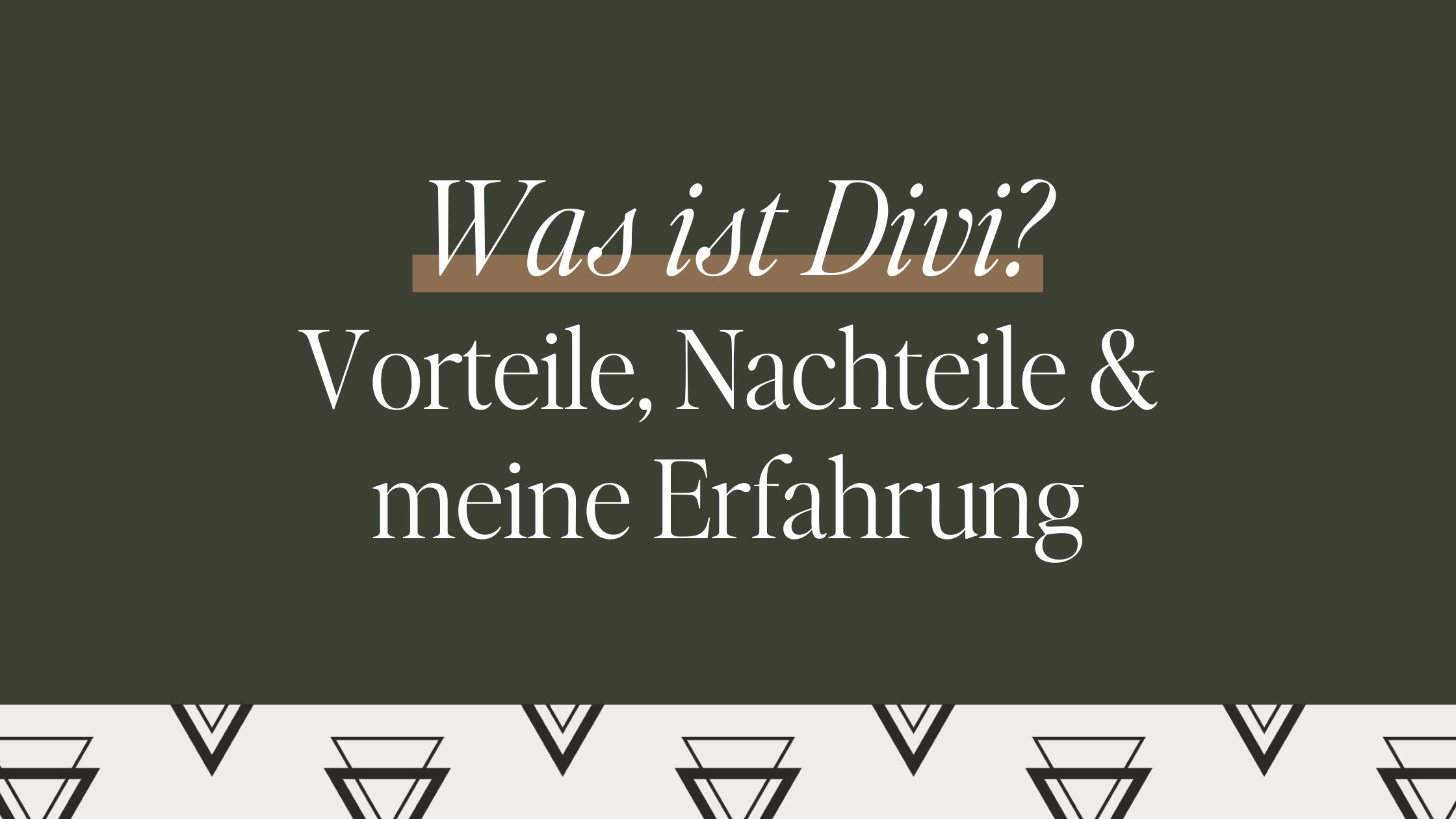 Was ist das Divi-Theme und welche Vorteile hat es?