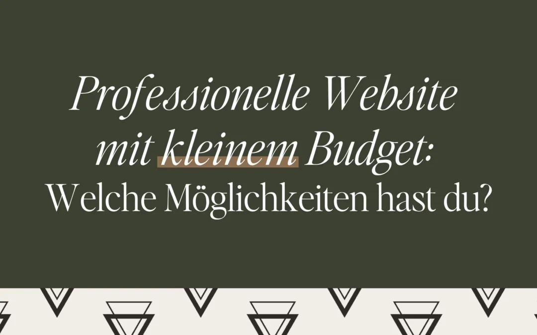 Professionelle Website mit kleinem Budget: Welche Möglichkeiten hast du?